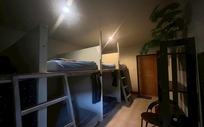 Noah’s Ark Cannabis Bar Restaurant Hostel