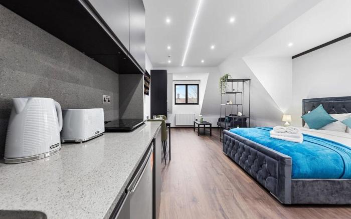 Luxury Spacious 2 person Suite in North London