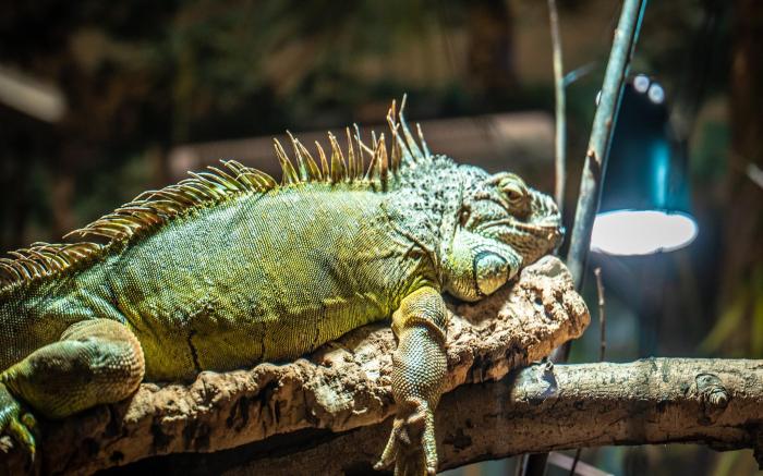 Ferien- und Freizeitpark Weissenhauser Strand