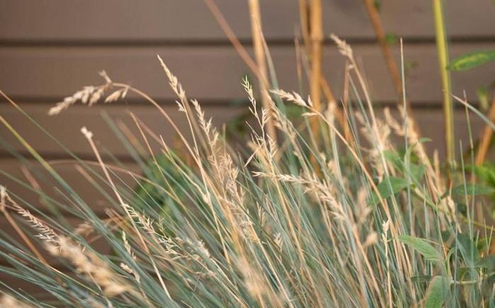 BEECH Resort Boltenhagen