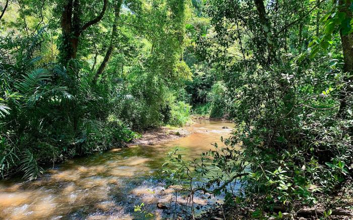 Cuppa Creek Homestay