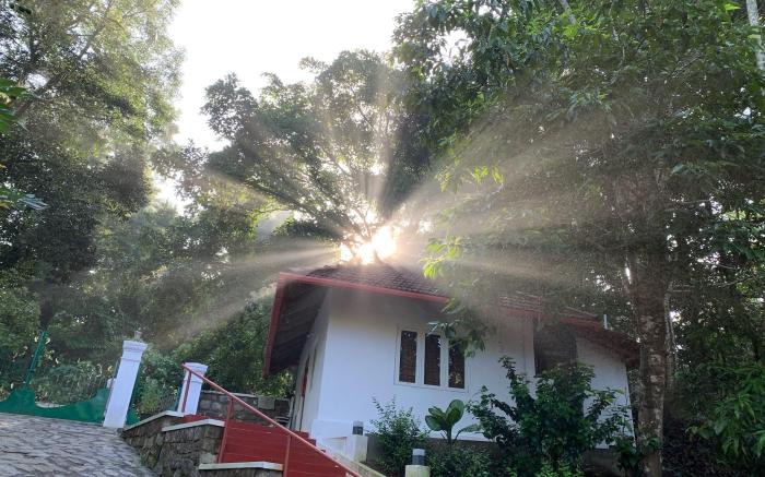 Cuppa Creek Homestay