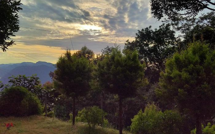 PINE VALLEY RESORT
