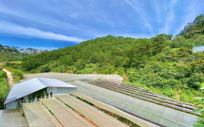 Báo Homestay Đà Lạt