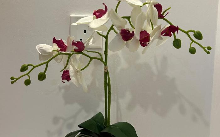 R&F Classic Seaview 1R1B By Wan Li Homestay