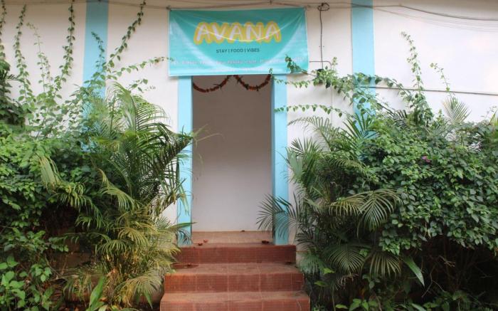 Avana