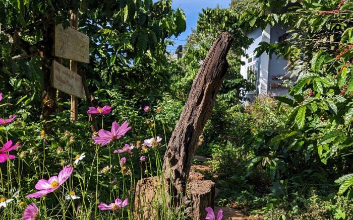 Ivy Coffee Farm - Garden House