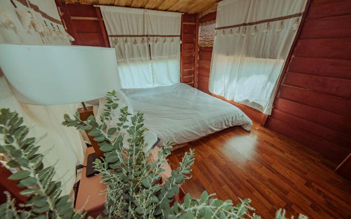 Nắng Xinh Homestay 