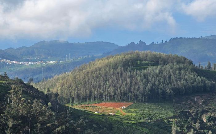 KALON ELPIS  Tea Estate 4BHK Villa 