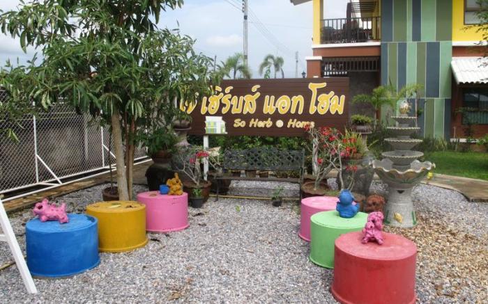 So Herbs at Home