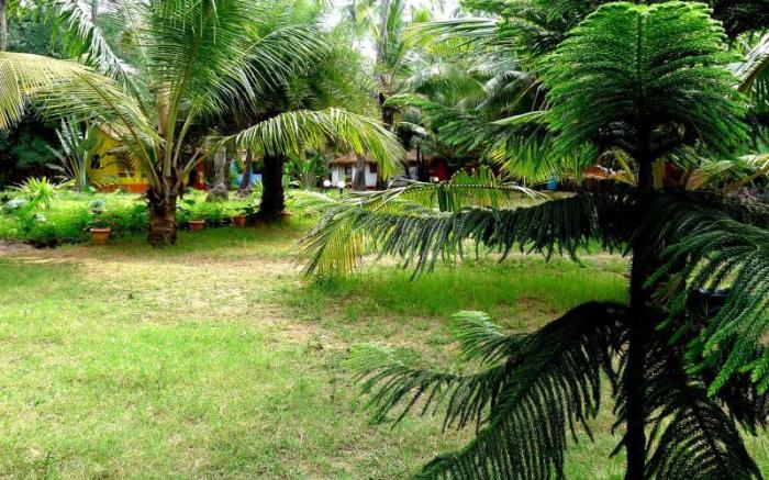 Mamagoa Beach Resort