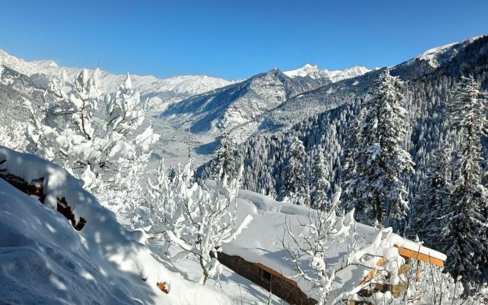 Cove The Glass House