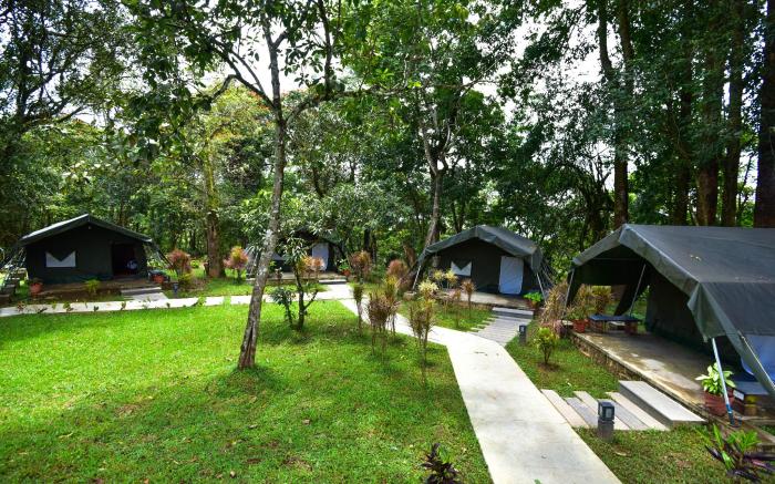 Monica Garden Bungalow