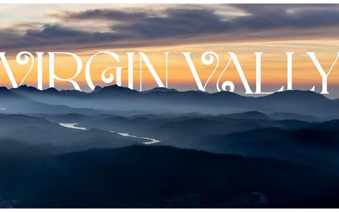 Virgin Valley