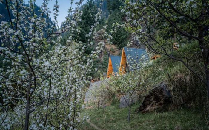 Bastiat Stays| Vibrant A-Frame In The Valley