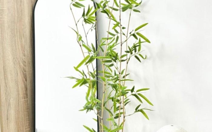 Glorious Staycation in Cavite