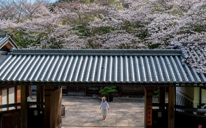 Oukai Villa Izumi