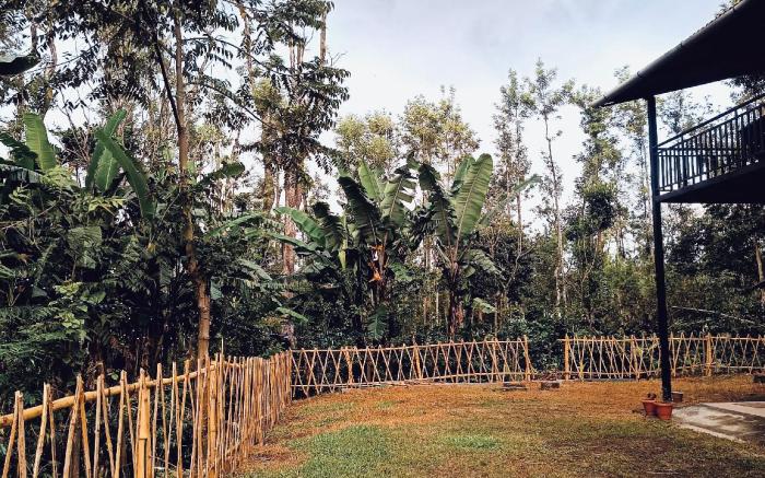 Cozy Camp Homestay 