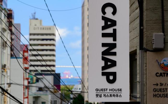CatNap Guesthouse