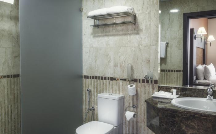 Royal Phoenicia Hotel