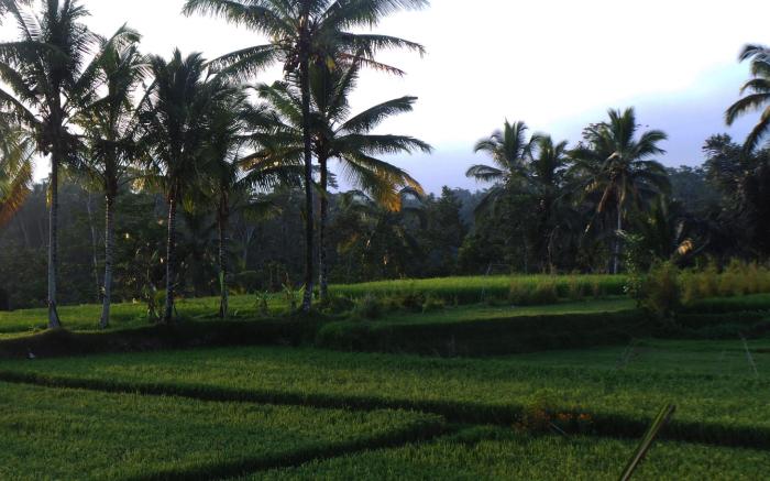 Villa Kemuning