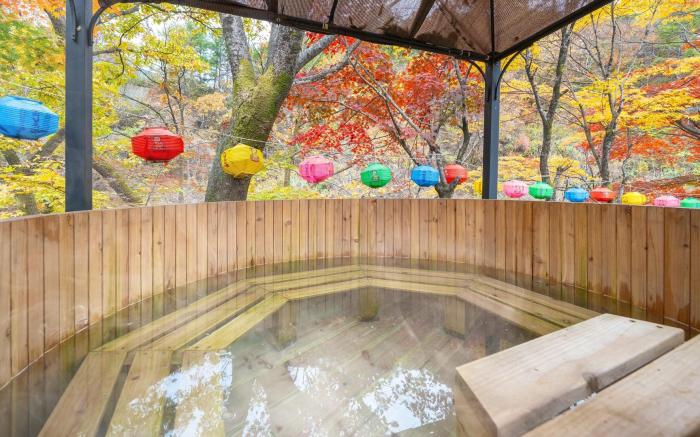 Gapeyong FourSeason Pet Glamping Caravan
