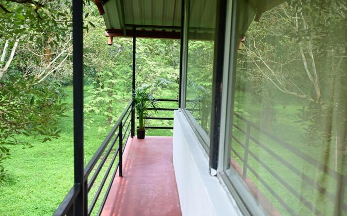 COD | Observation Deck at Nephila Farm