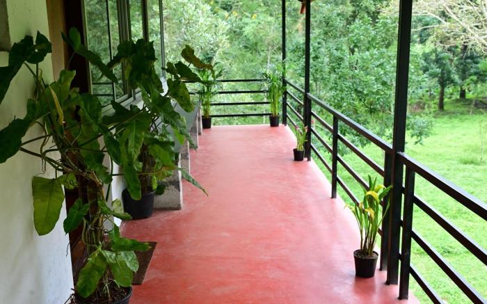 COD | Observation Deck at Nephila Farm