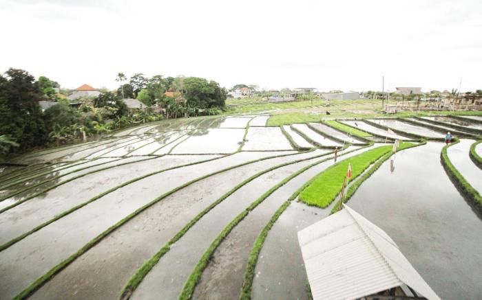 Allende Canggu