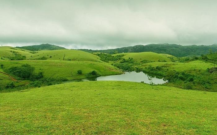 Green and Green 