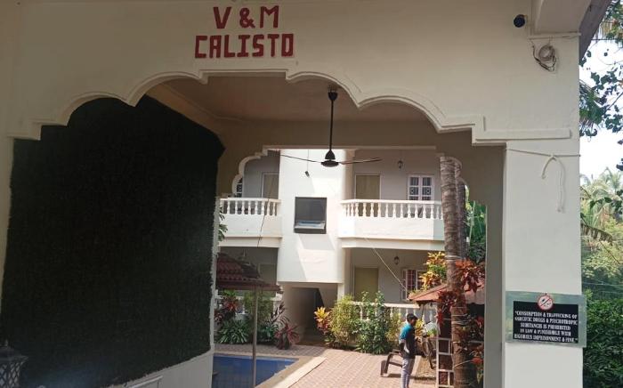 V&M Calisto 