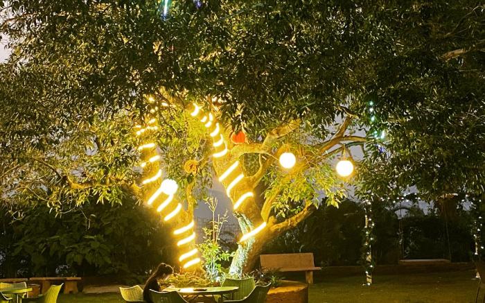 Lotus Farms Resort - Pure Veg
