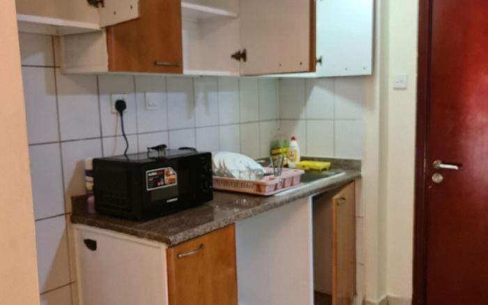 Big Studio Apartment