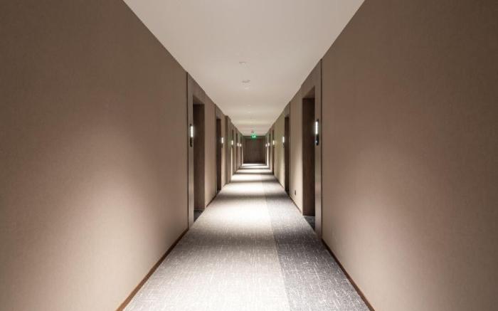 Langlizi Hotel Chengdu Chunxi Road Wenshuyuan Subway Station Branch 朗丽兹酒店成都春熙路文殊院地铁站店