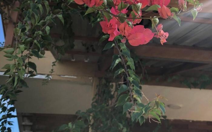 Mountain View House Kampot
