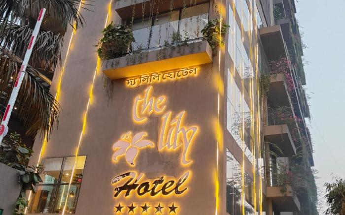 The Lily  Hotel