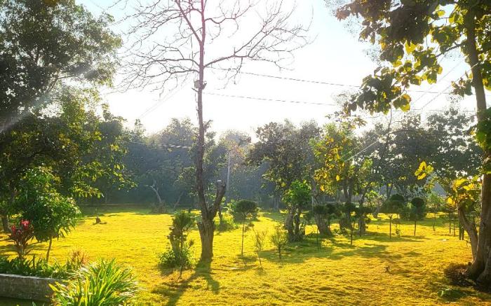 Nature Lovers Resort