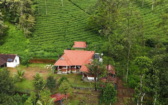 Snow Valley Munnar