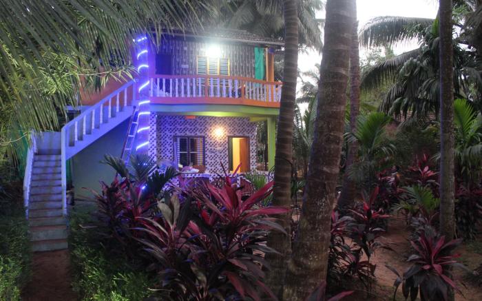 ARECA NEST
