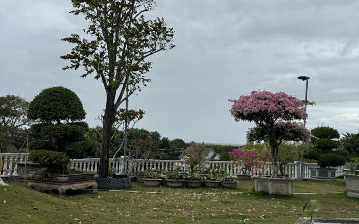 Hoa Giấy Hilltop Retreat