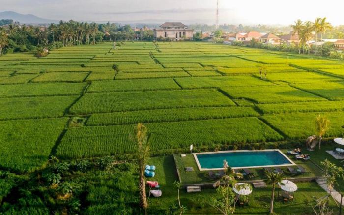 Adil Villa and Resort