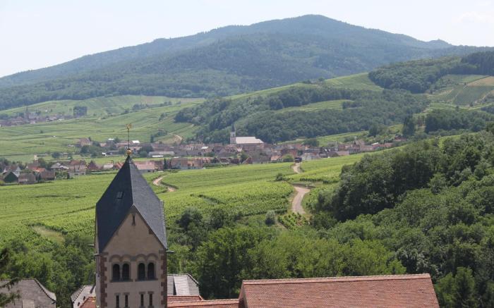 Gîte de charme labellisé en Alsace près de Colmar