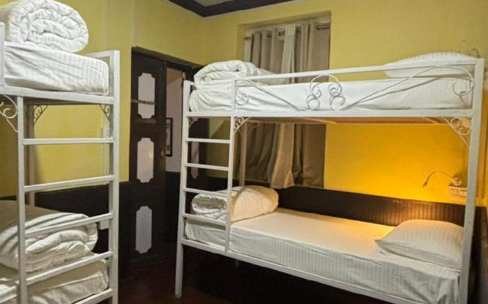 Mellow Fellow Hostel Darjeeling