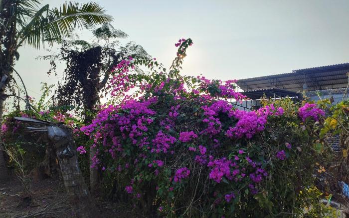 Gayatri Holiday Home 
