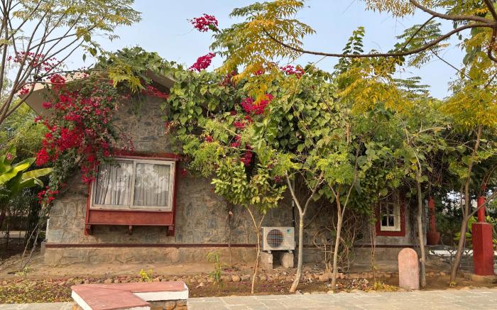 Neem Sarai Sariska