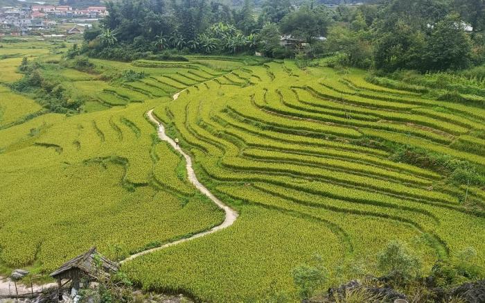 Homestay Núi Đá Tả Phìn