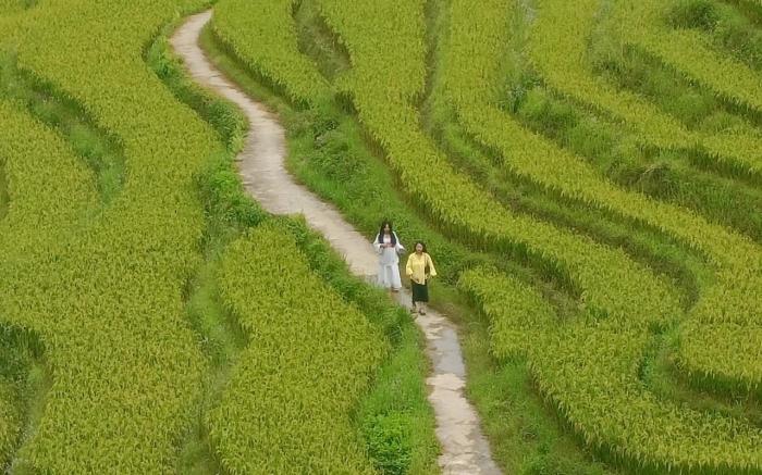 Homestay Núi Đá Tả Phìn