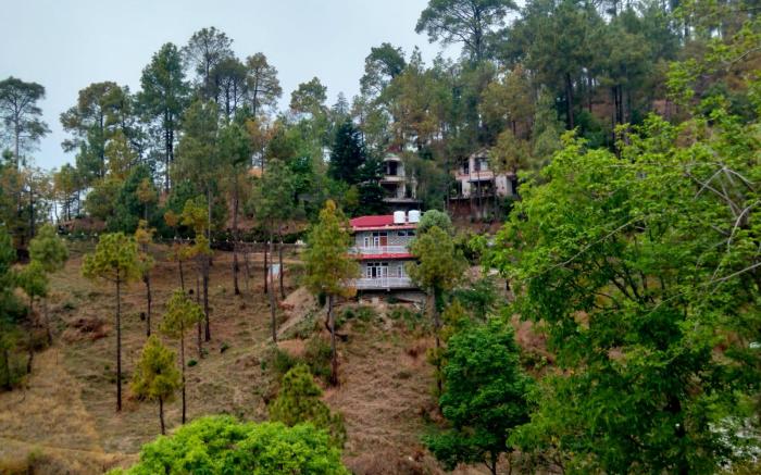 StoneFruit Homestay: 5BR in Chail