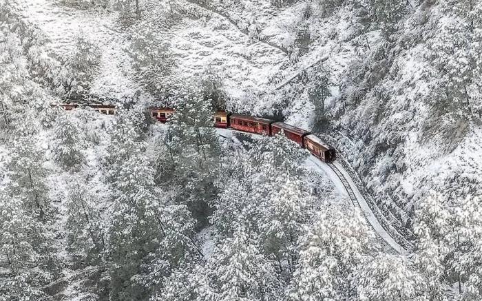 Harmony Heights Shimla
