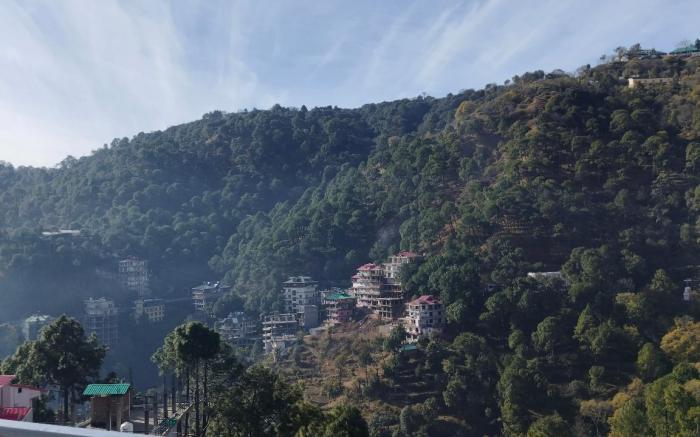 Dagshai Delights Solan By Homeyhuts